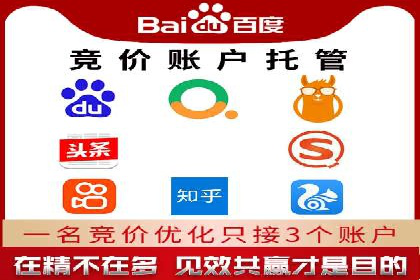 深度解析SEM推广代运营的成功案例及策略